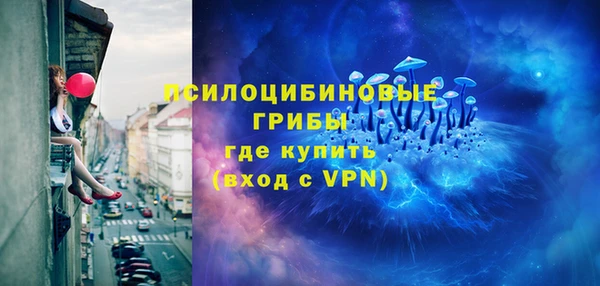 крисы Алзамай