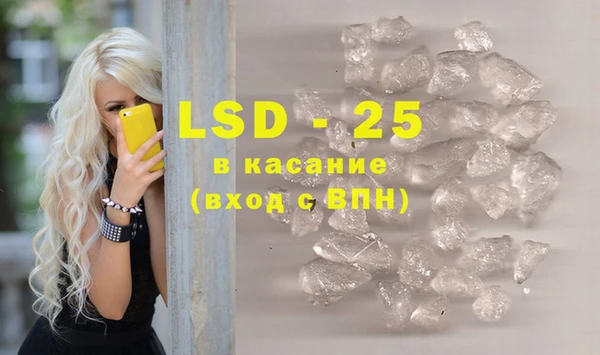 крисы Алзамай