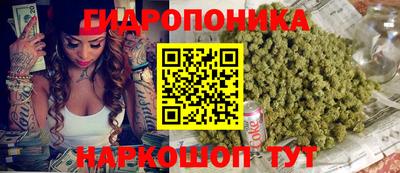 индика Гагарин