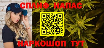 наркотики Гатчина