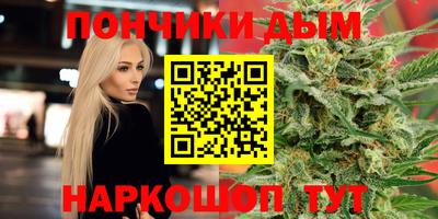индика Гагарин