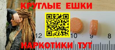 гашик Гай