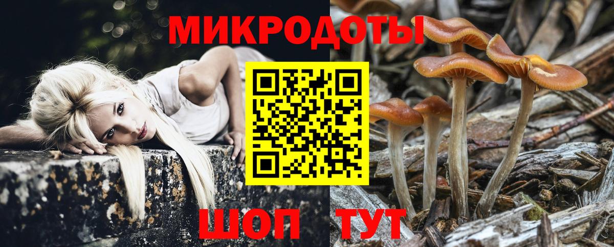Псилоцибиновые грибы MAGIC MUSHROOMS  Вход с VPN  Лесной 