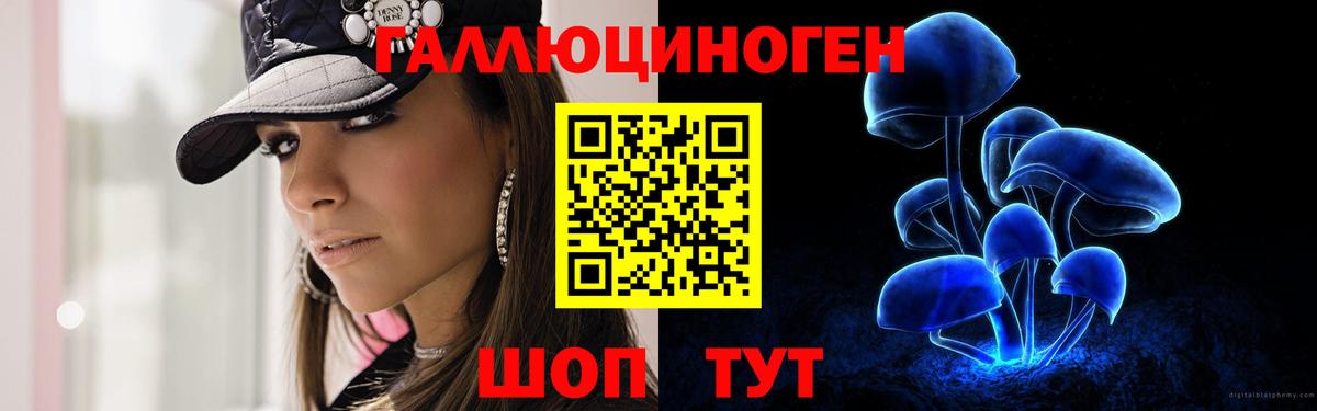 Лесной  Cocaine  АМФ кристаллы  Вход с VPN  Гашиш  Бошки Шишки  Меф  